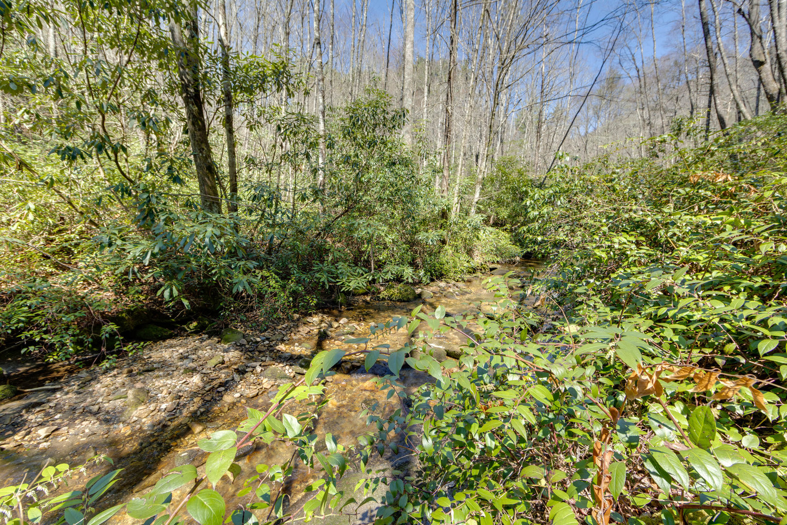 Sapphire Vacation Rental