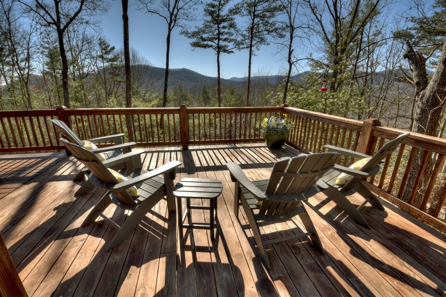 Cherry Log Vacation Rental