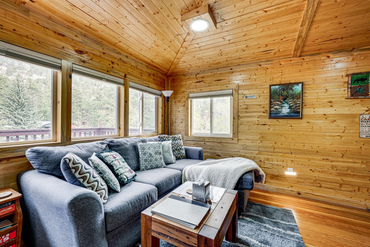 Drake Vacation Rental