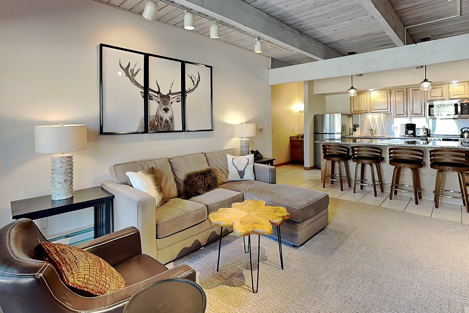 Snowmass Village Vacation Rental
