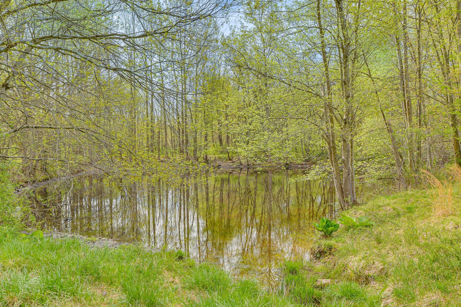 Woodbine Vacation Rental