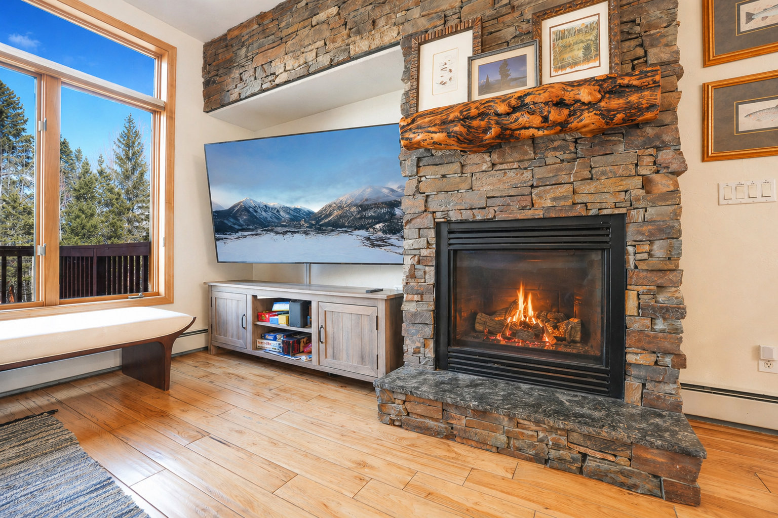 Frisco Vacation Rental