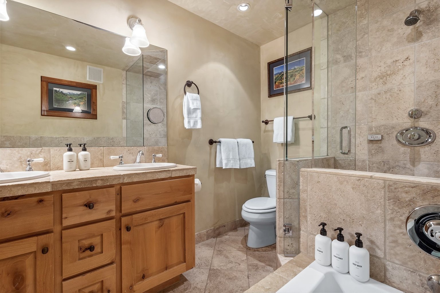 Telluride Vacation Rental