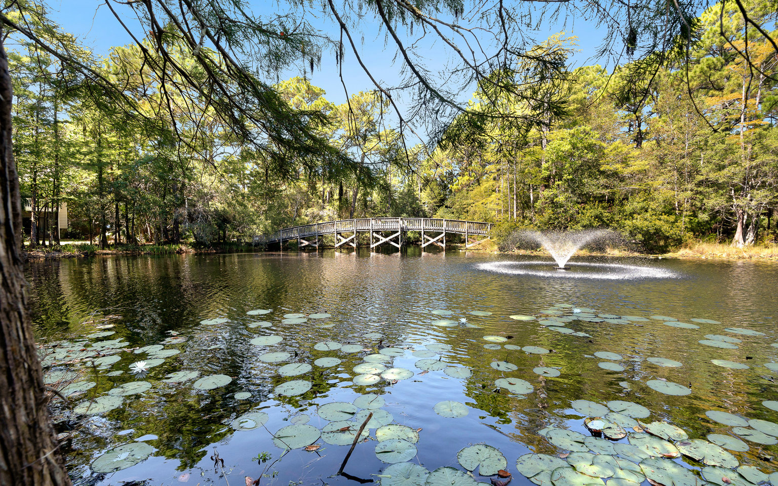 Santa Rosa Beach Vacation Rental
