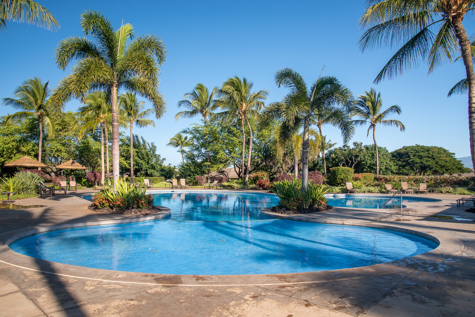 Kamuela Vacation Rental