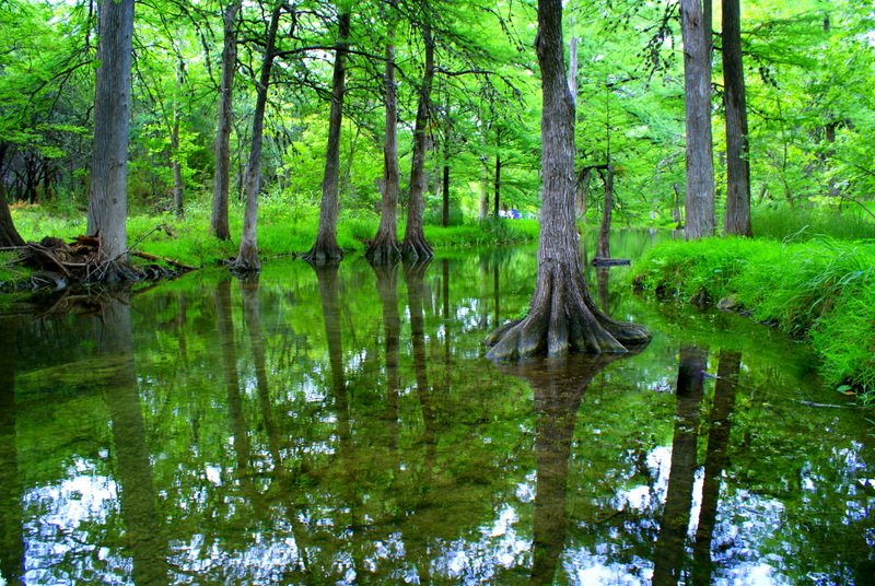Wimberley Vacation Rental