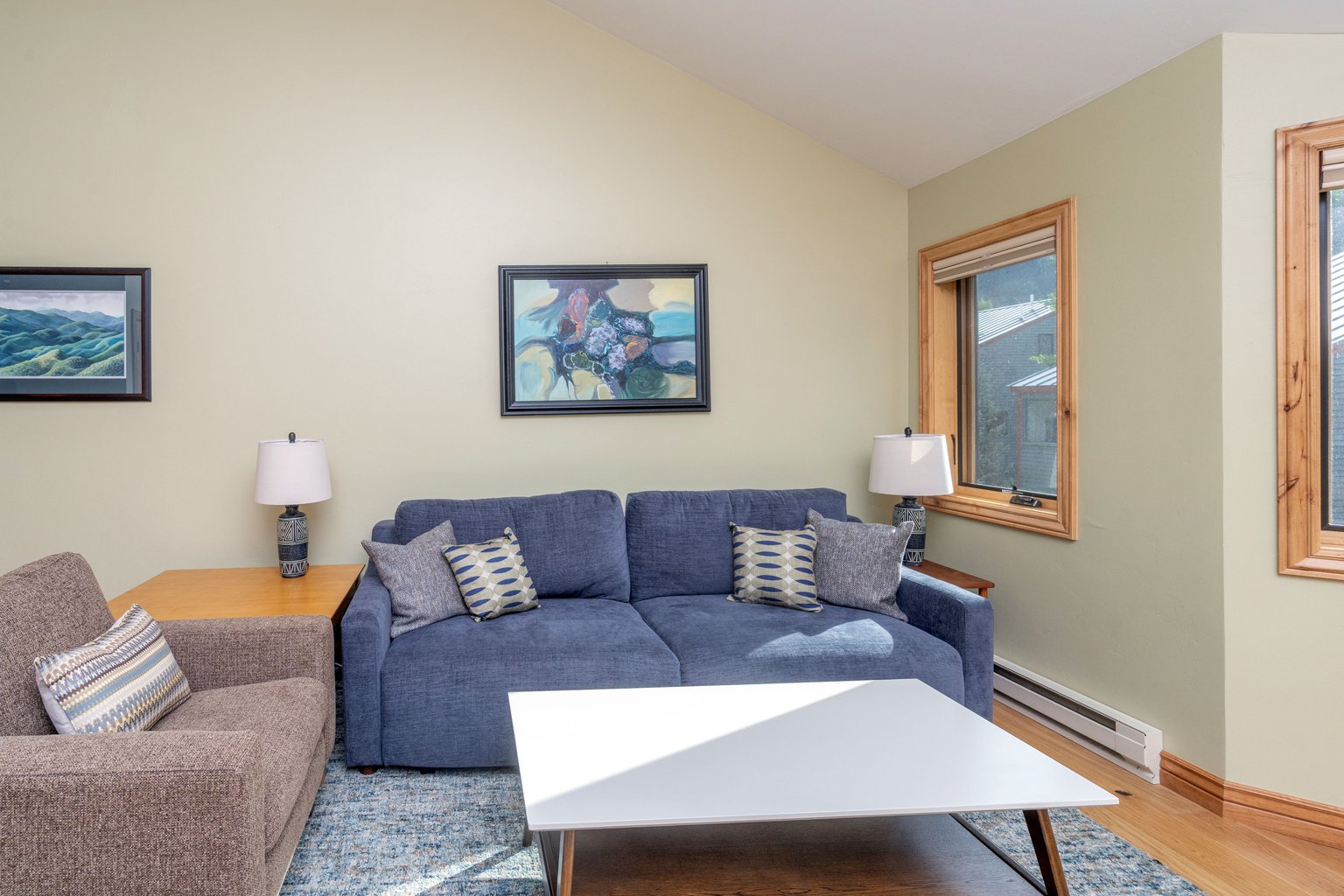 Telluride Vacation Rental