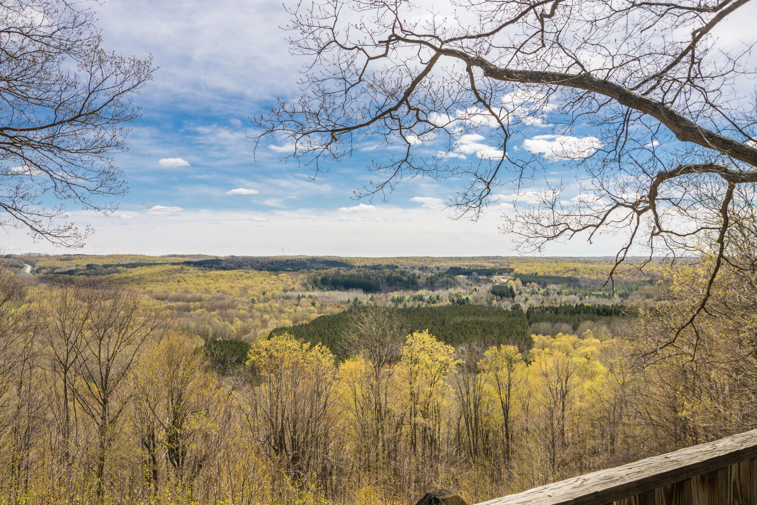 bellaire Vacation Rental