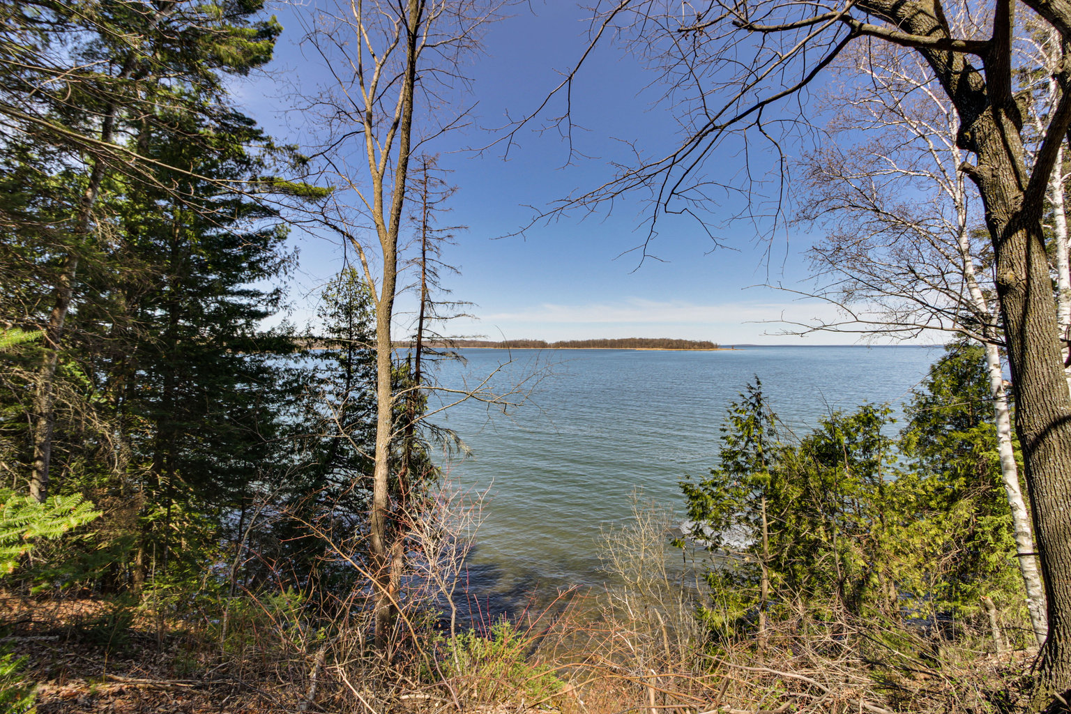 Walker Vacation Rental