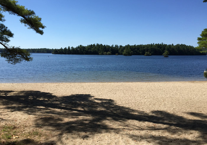 Gray Vacation Rental