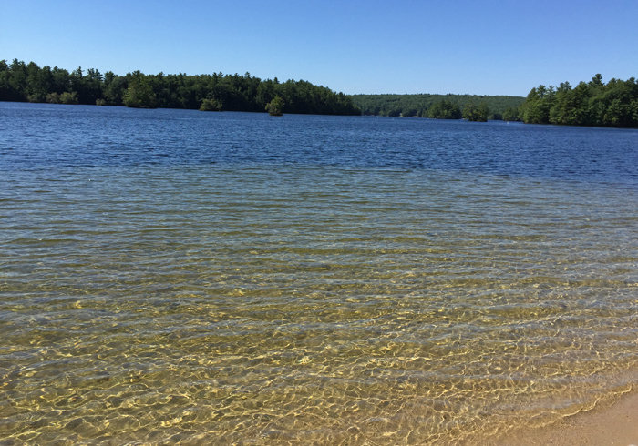 Gray Vacation Rental