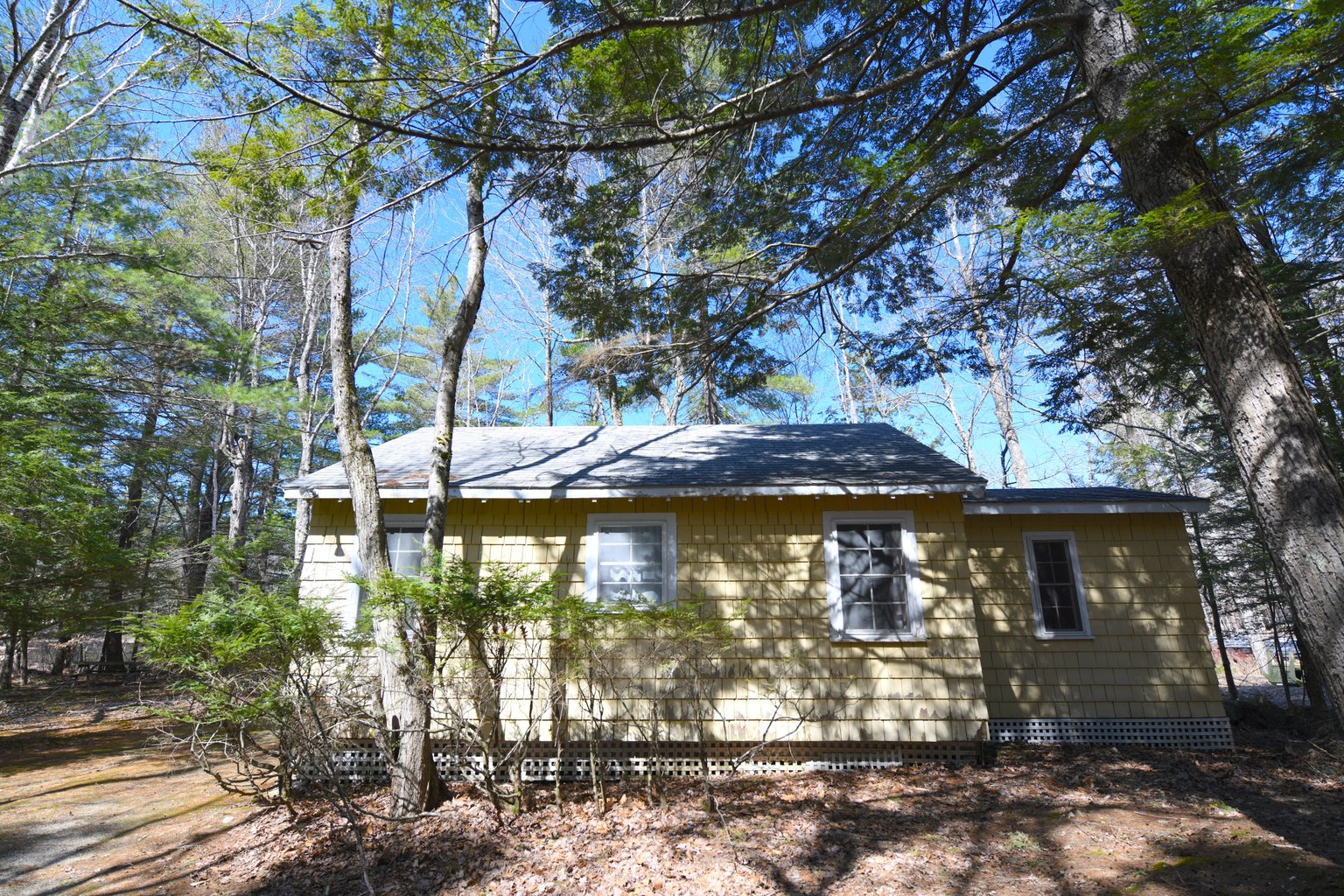 Gray Vacation Rental