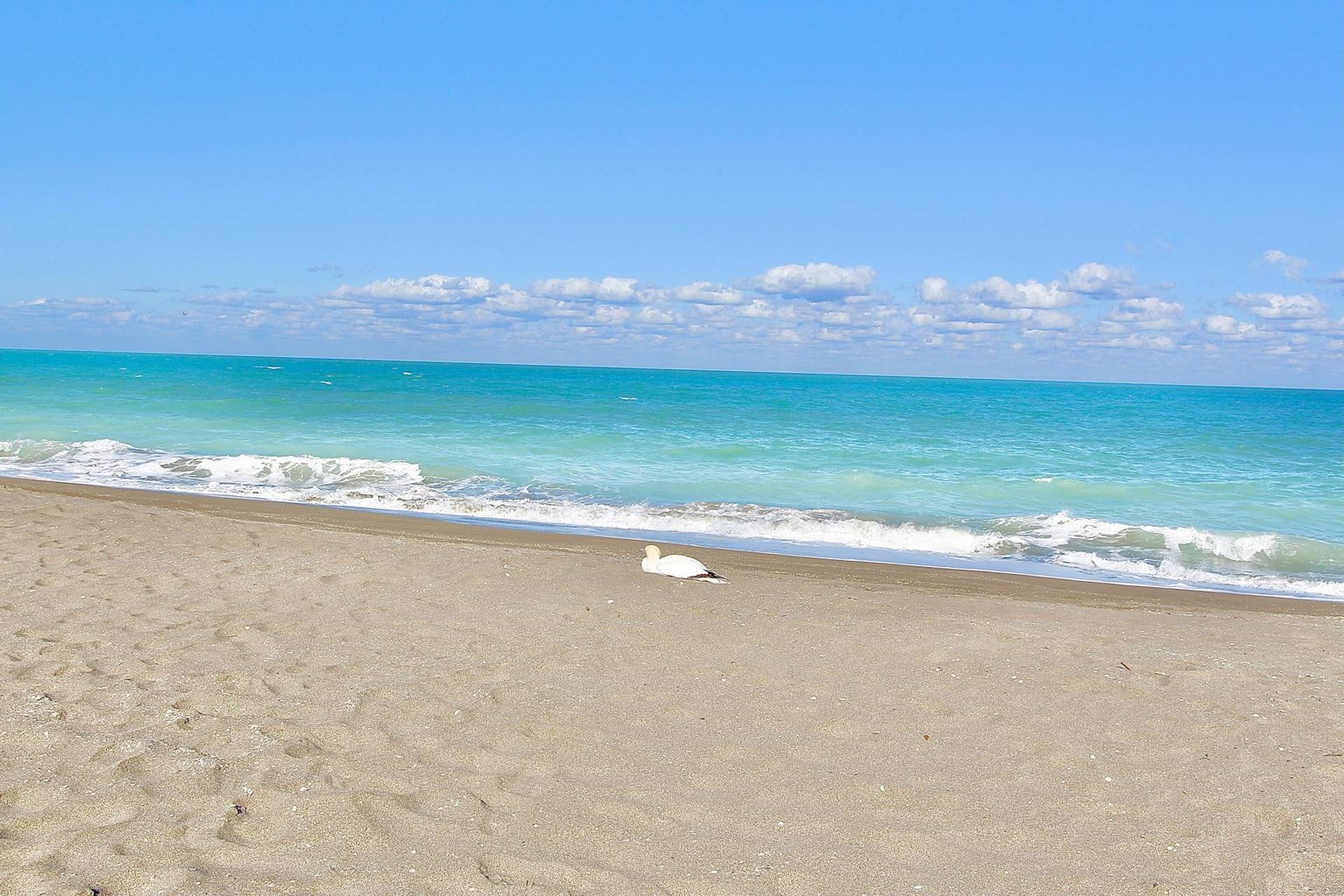 Fort Pierce Vacation Rental