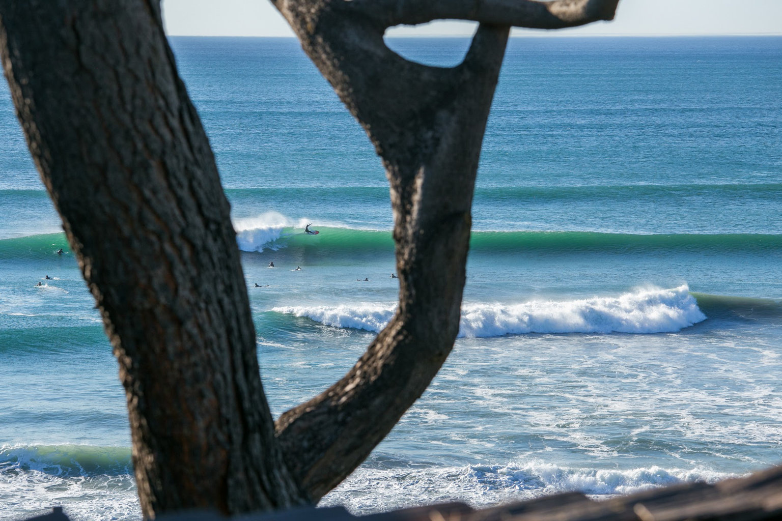 Solana Beach Vacation Rental