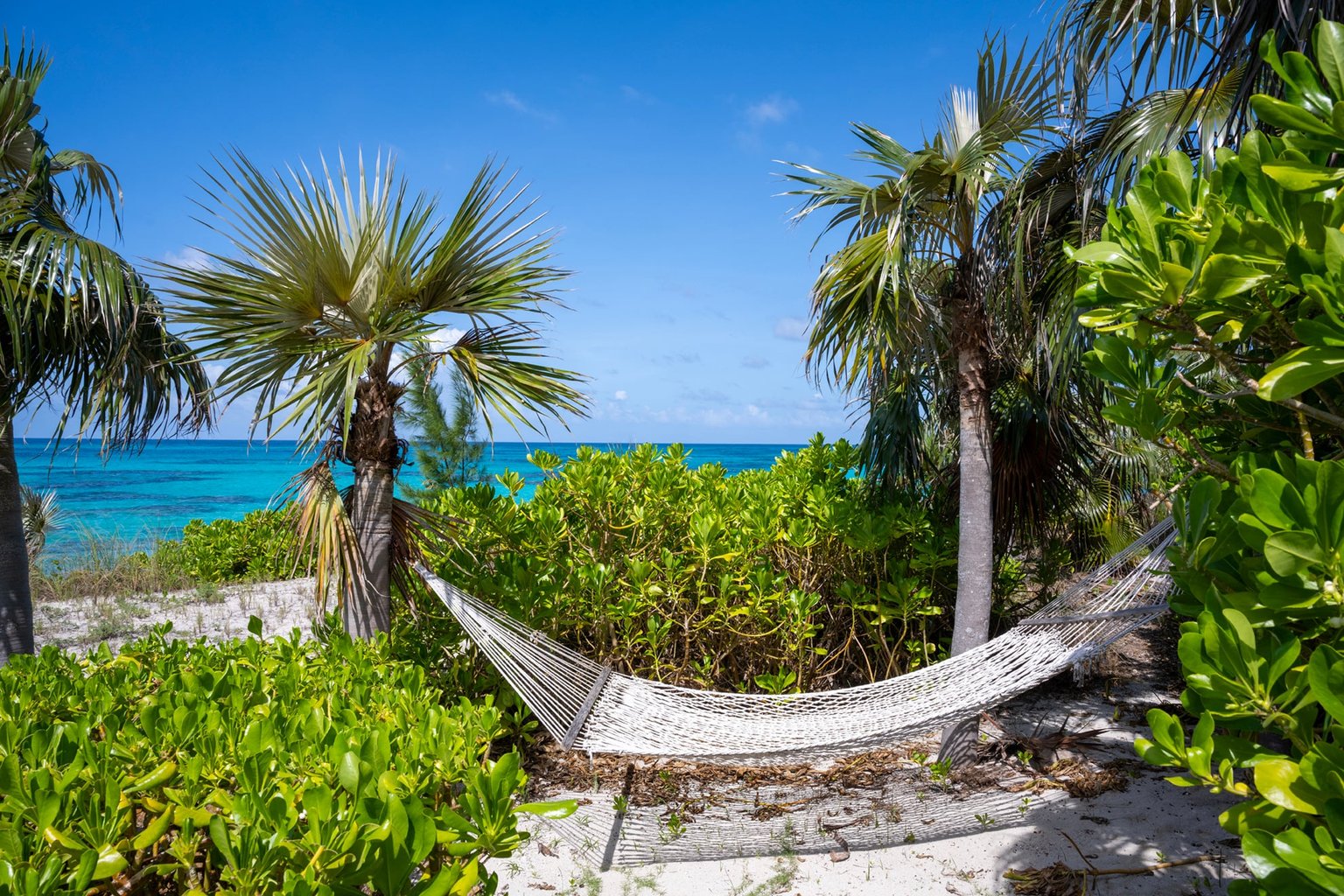 Palmetto Point Vacation Rental