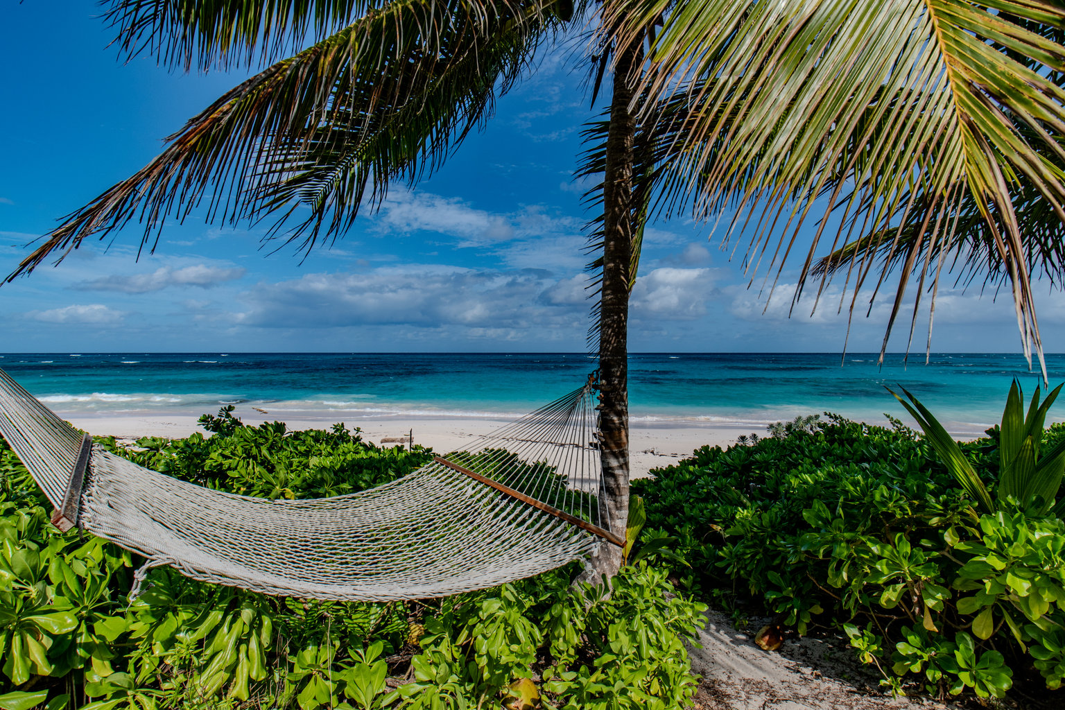 Palmetto Point Vacation Rental