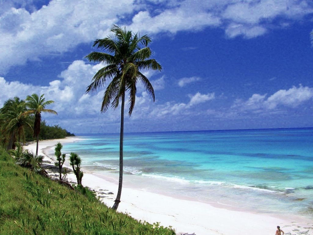 Palmetto Point Vacation Rental