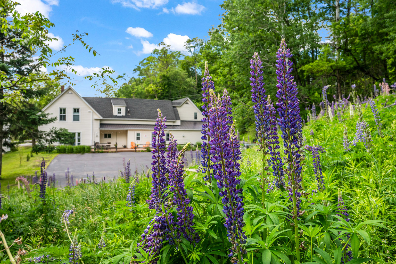 Whitefield Vacation Rental
