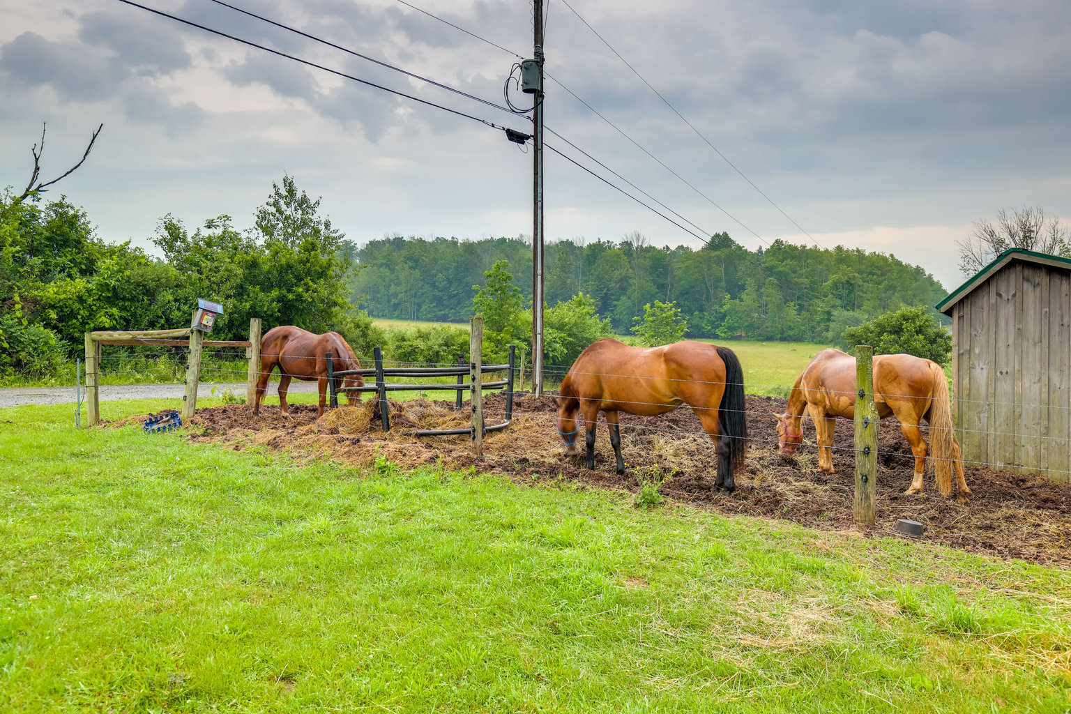 Middlebury Center Vacation Rental