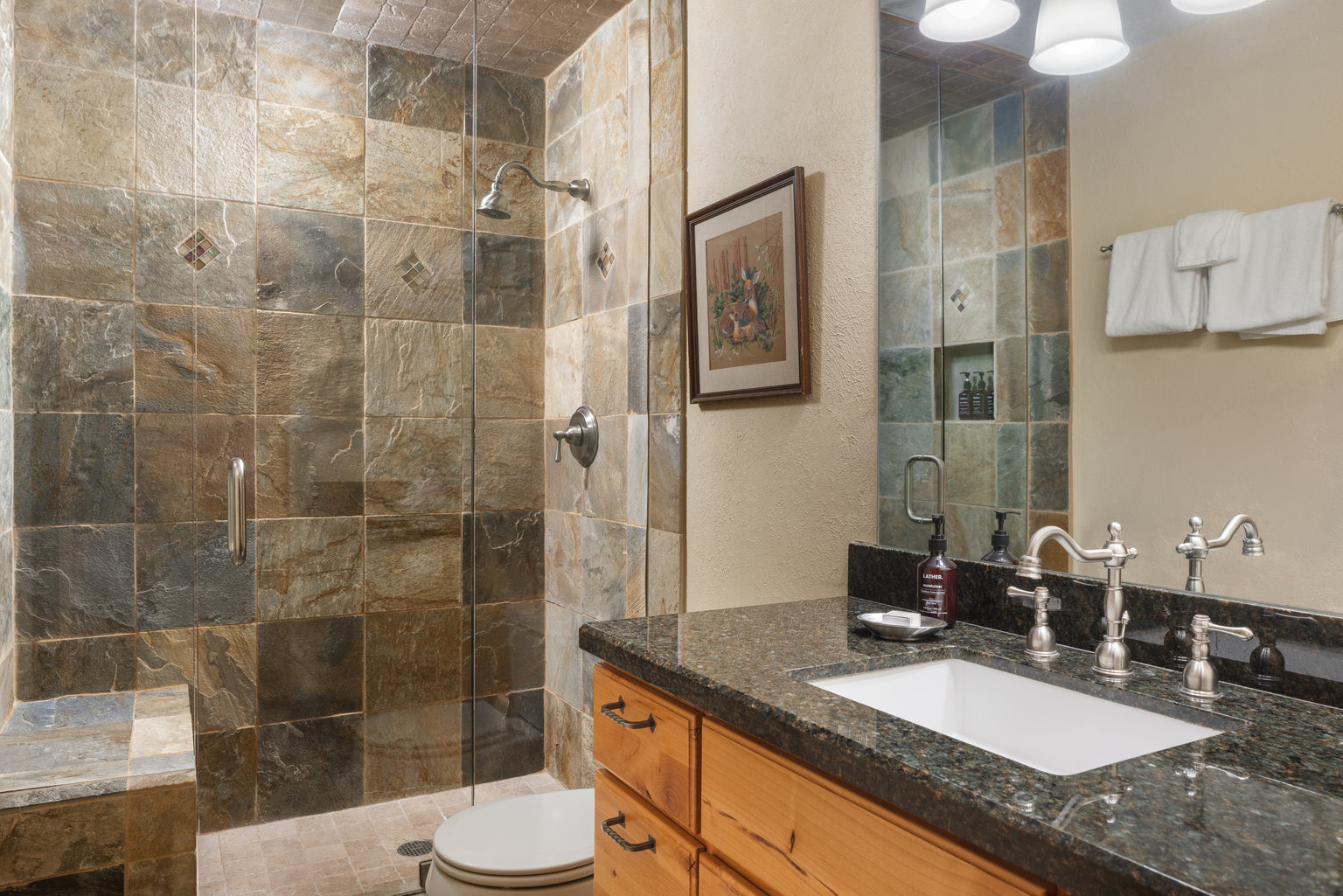 Snowmass Village Vacation Rental