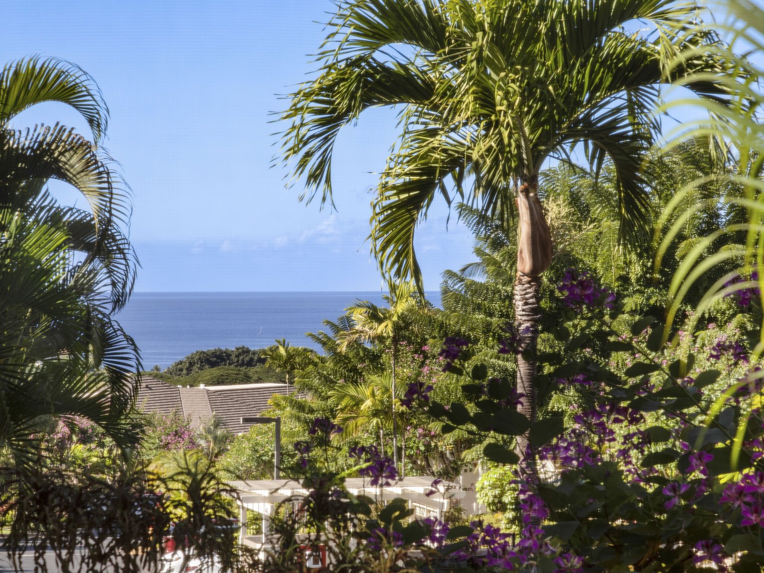 Wailea Vacation Rental