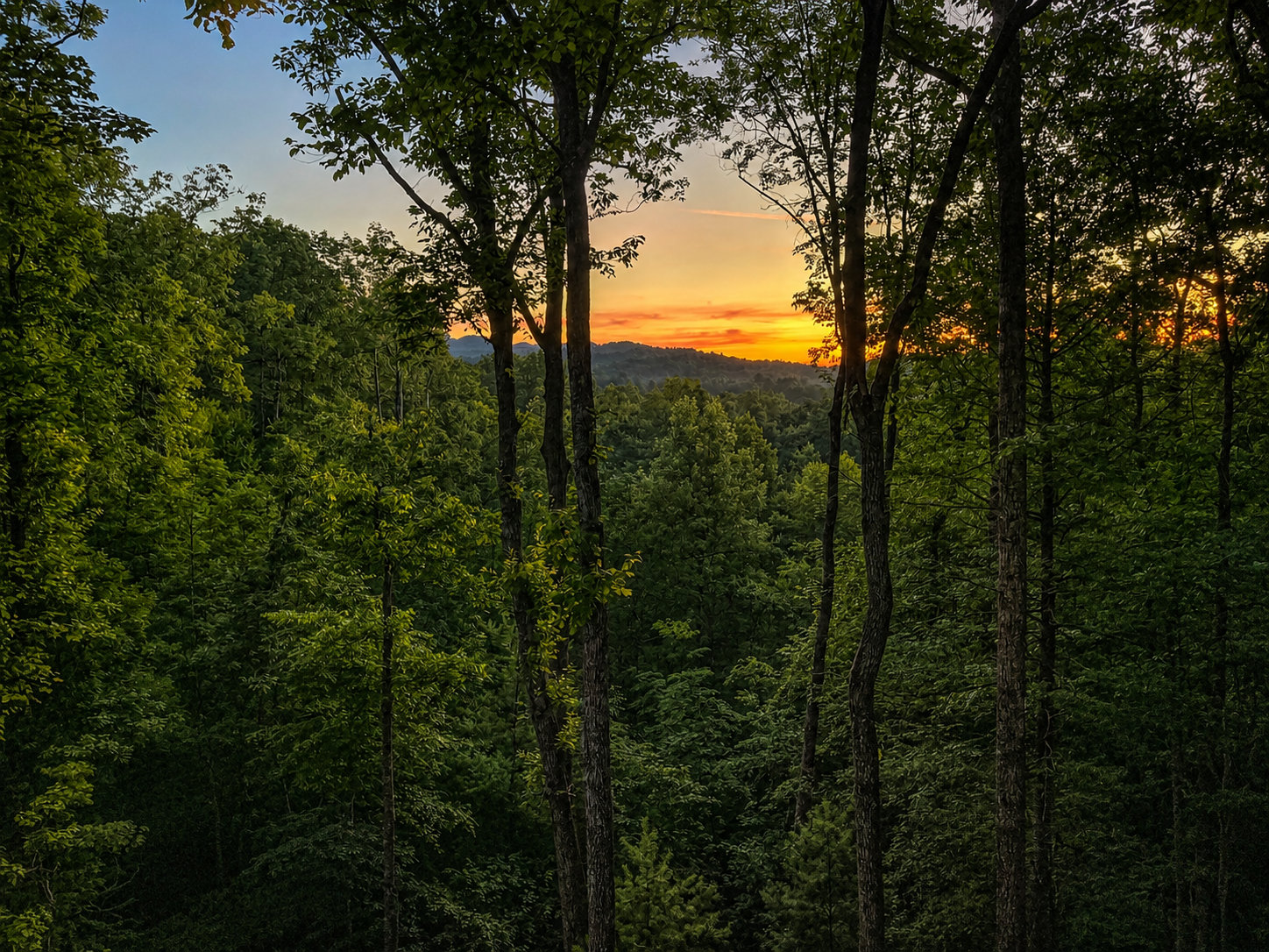 Ellijay Vacation Rental