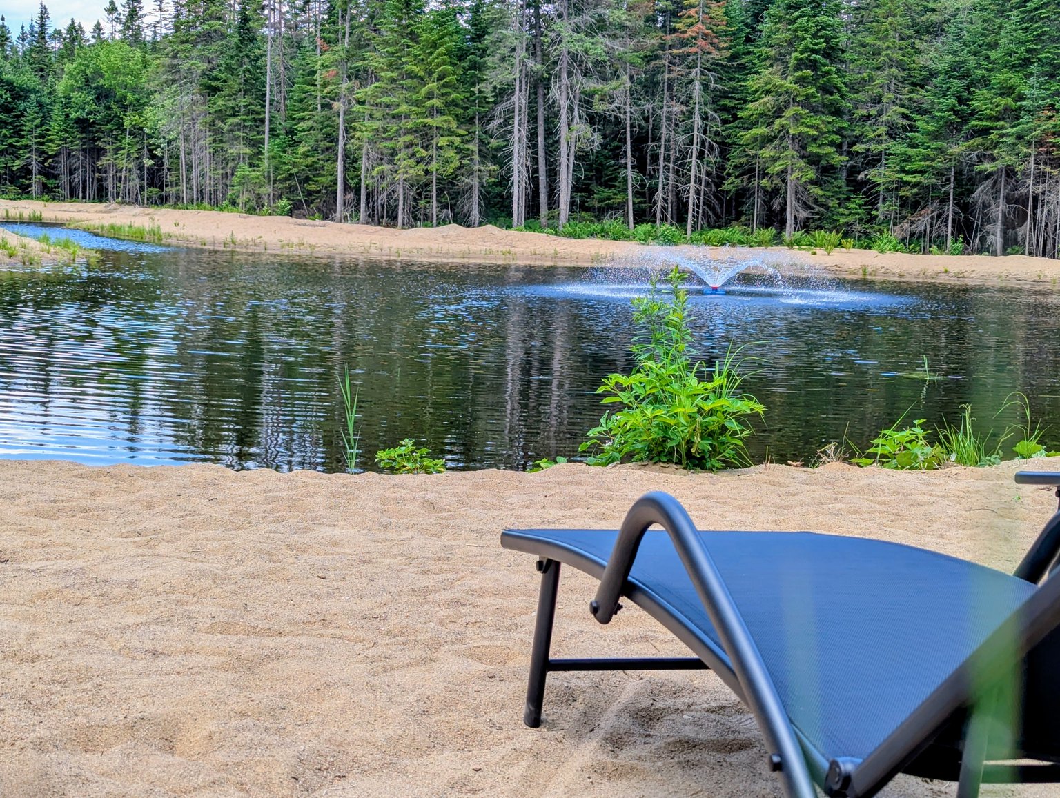 Shannon Vacation Rental