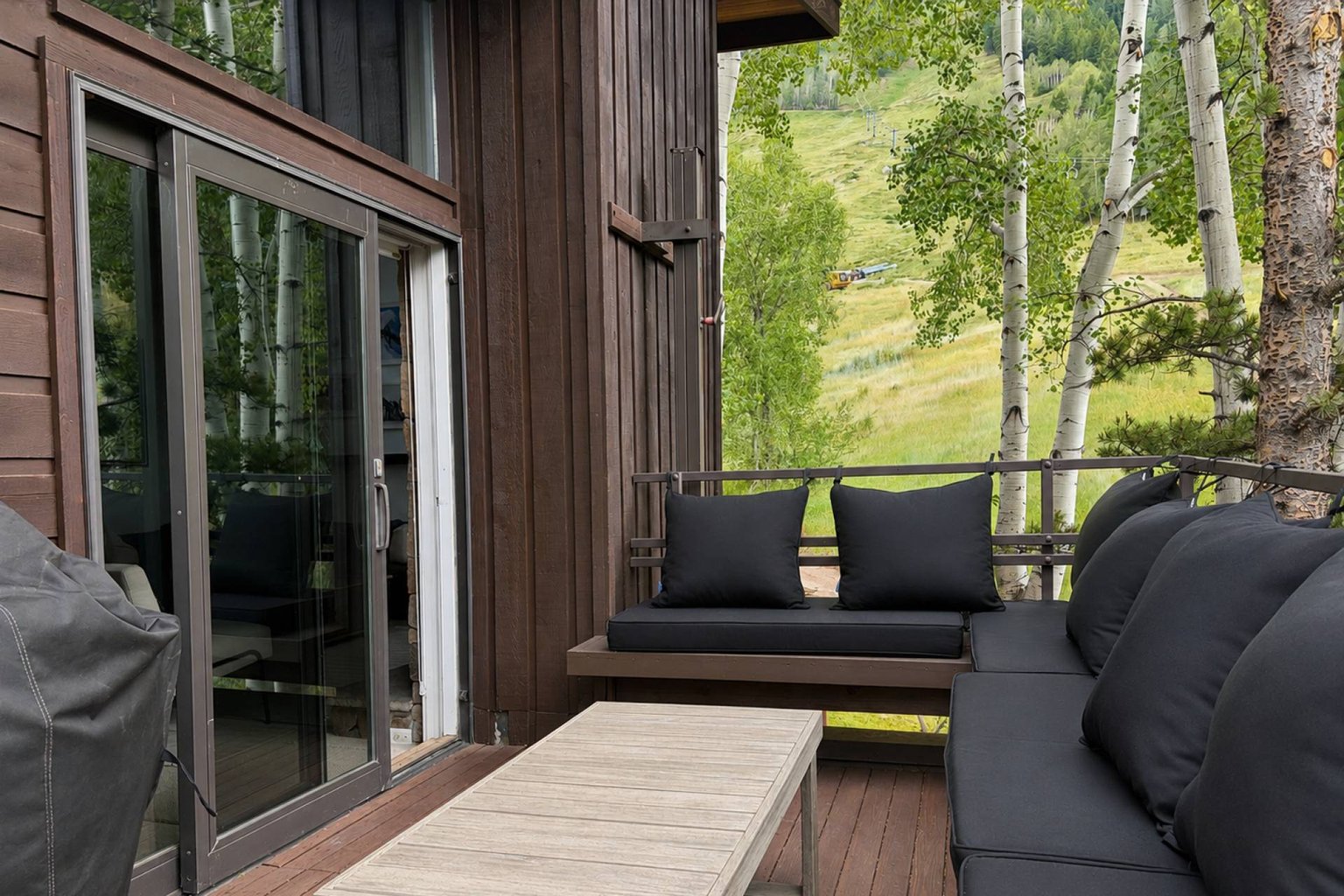 Aspen Vacation Rental