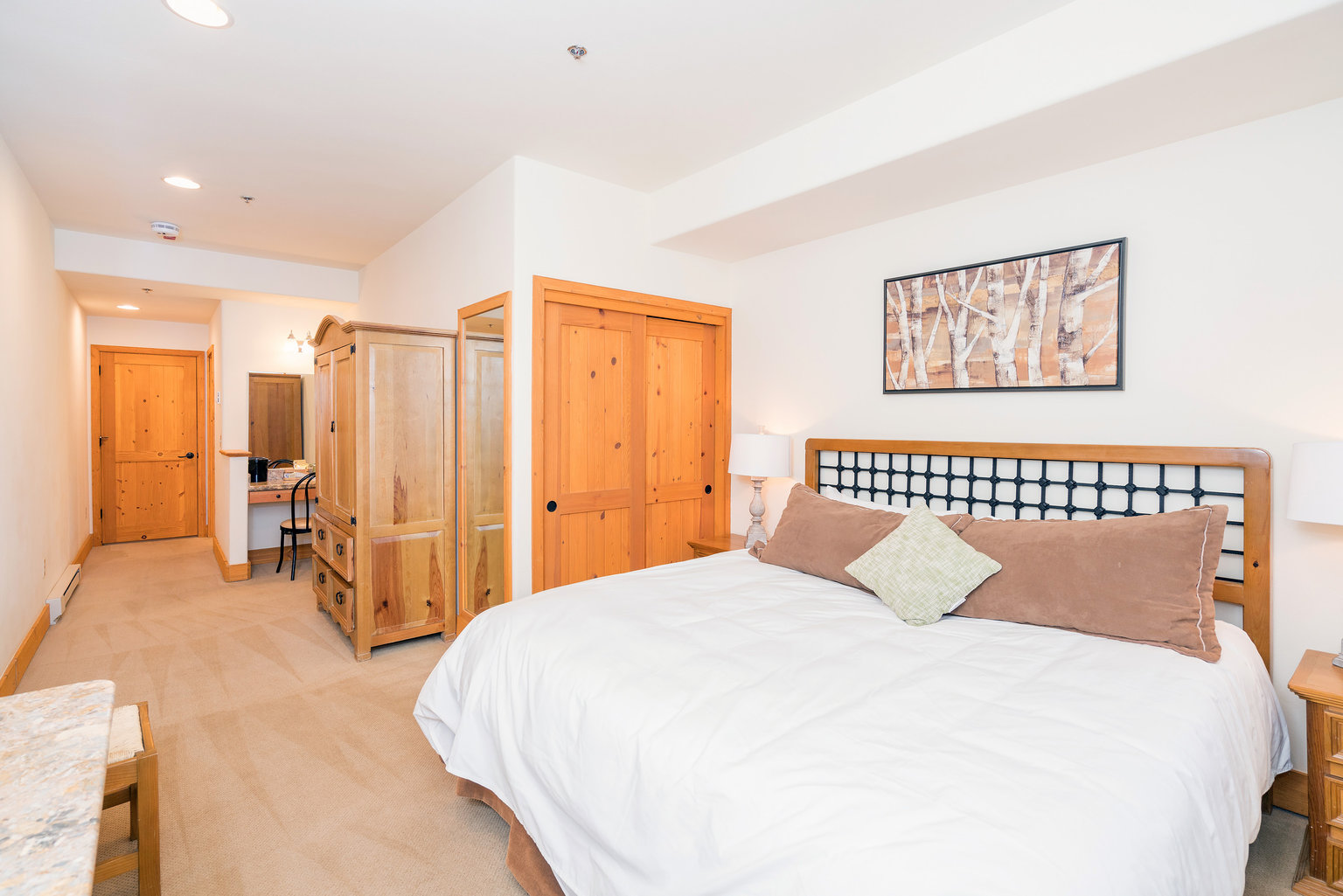 Mountain Village Vacation Rental