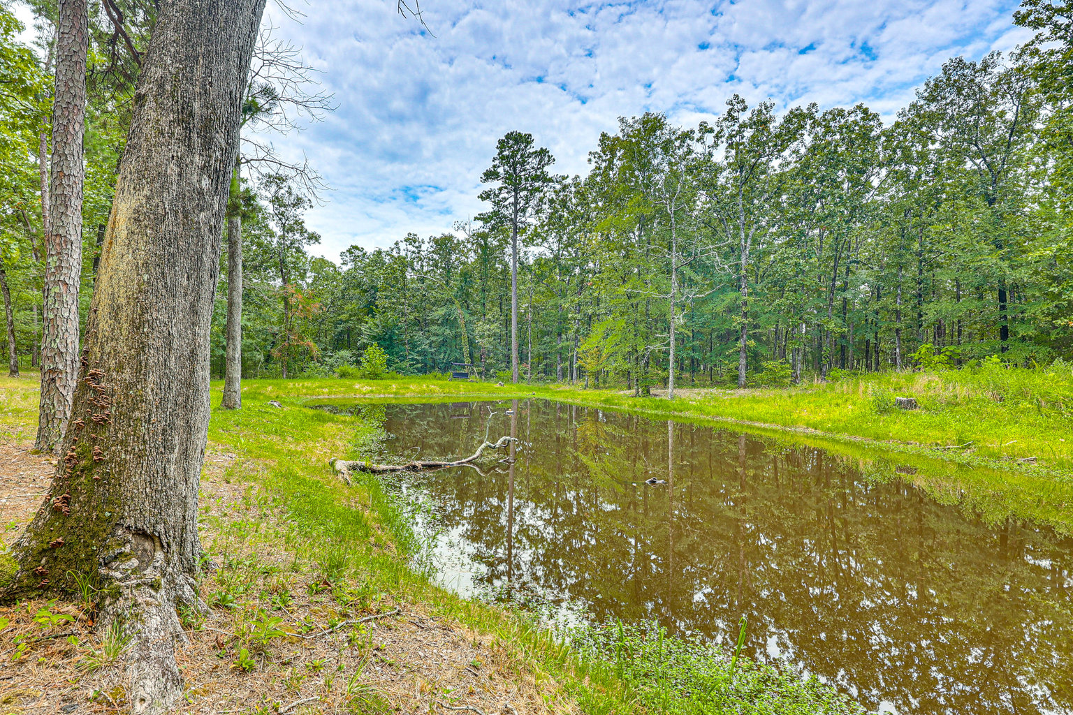 Mount Ida Vacation Rental