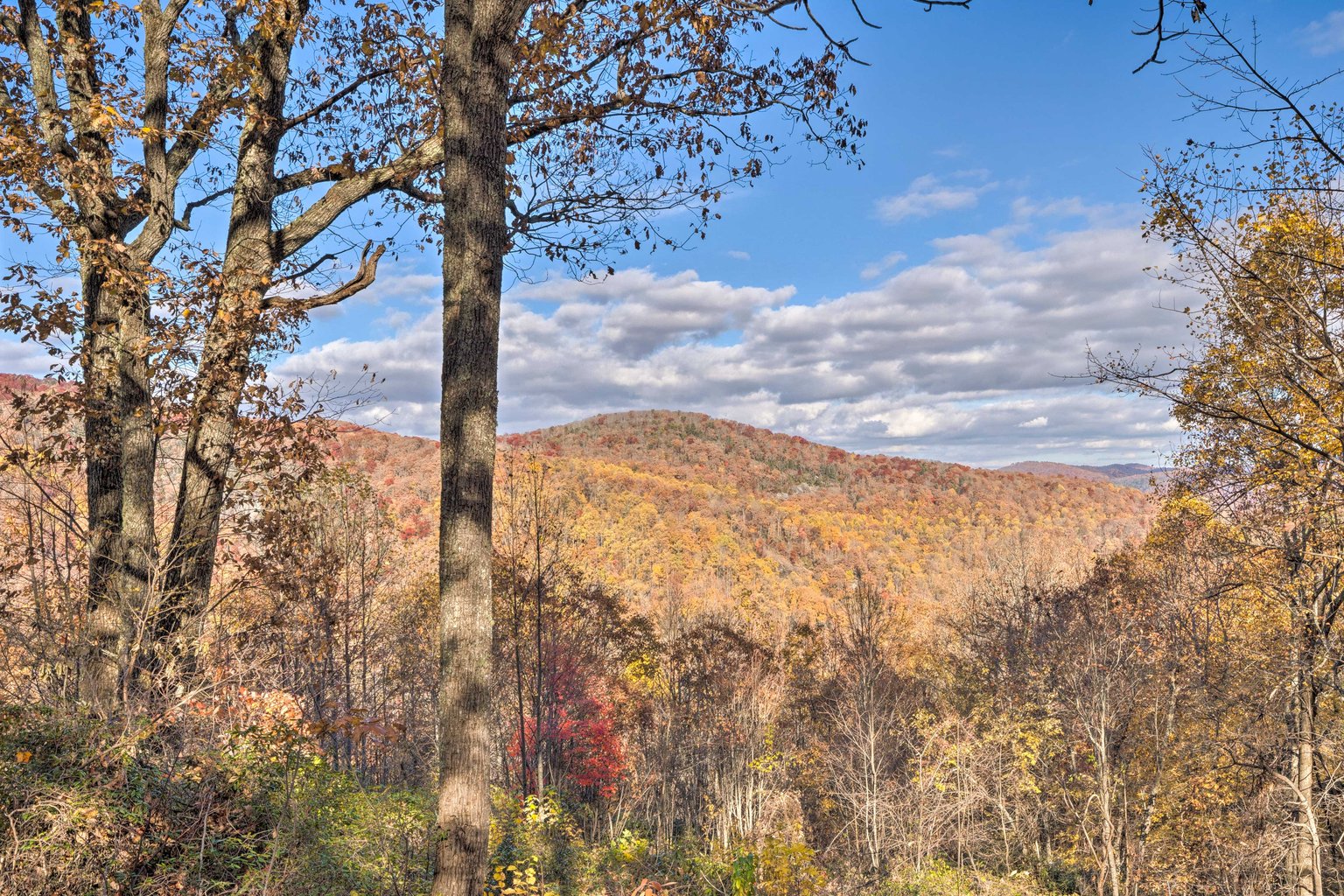 Hendersonville Vacation Rental