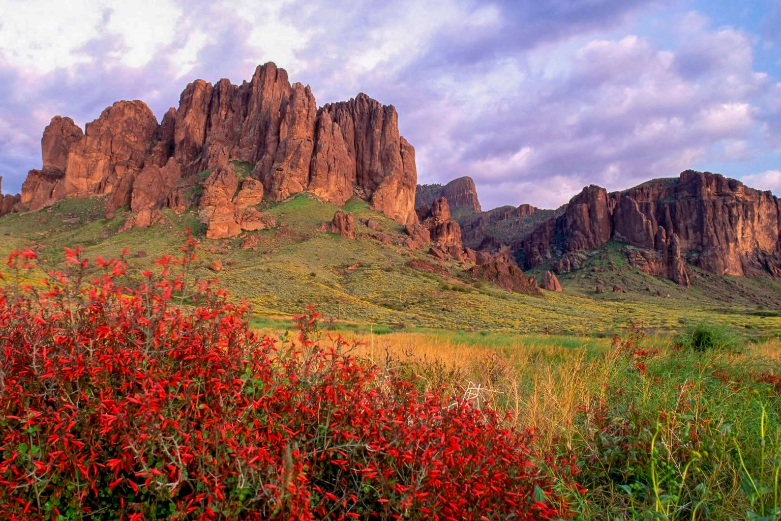 Gold Canyon Vacation Rental