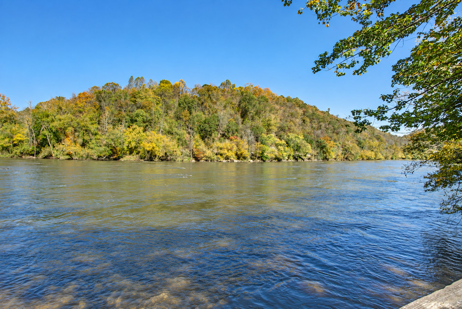 Marshall Vacation Rental
