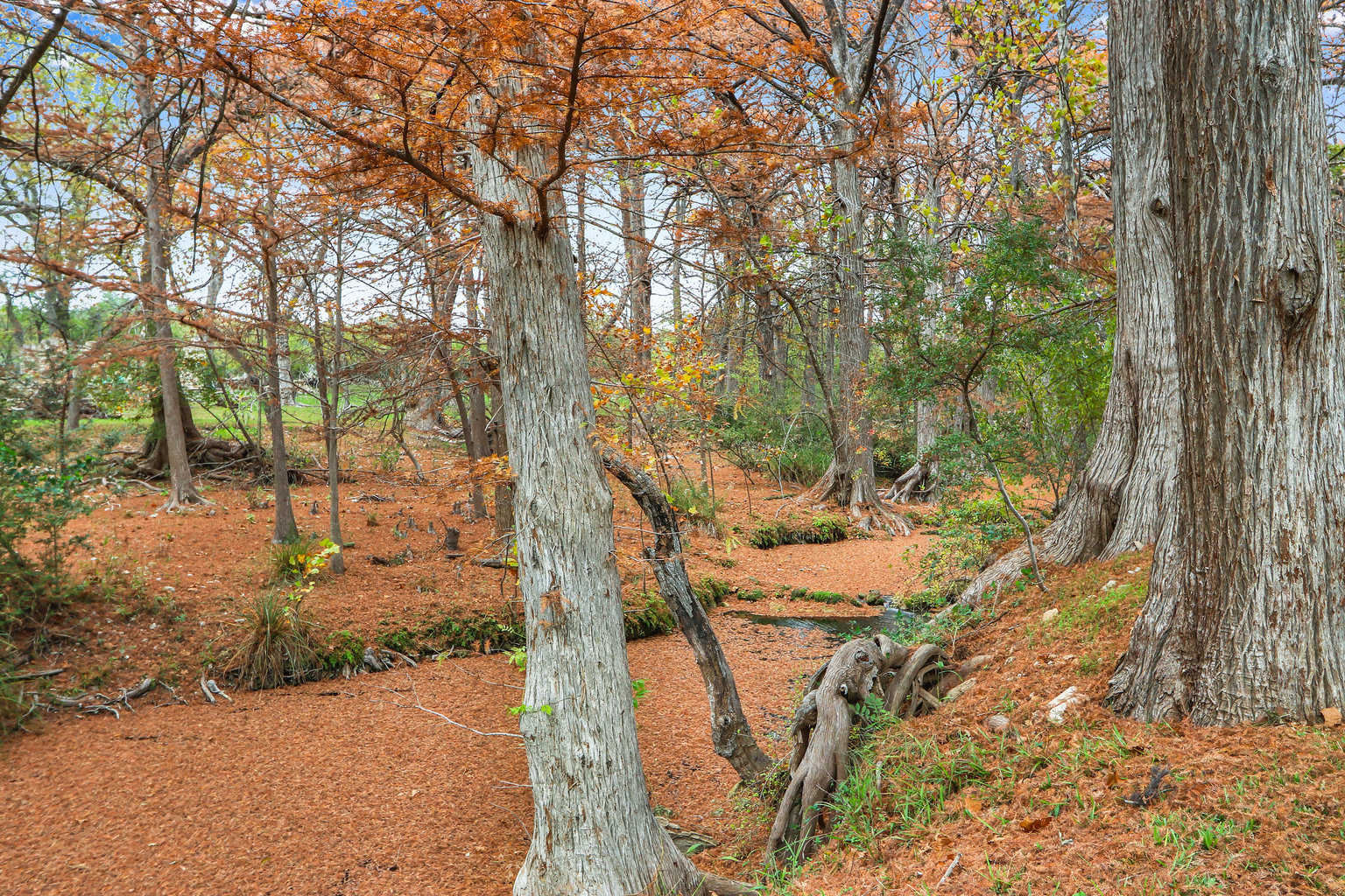 Wimberley Vacation Rental