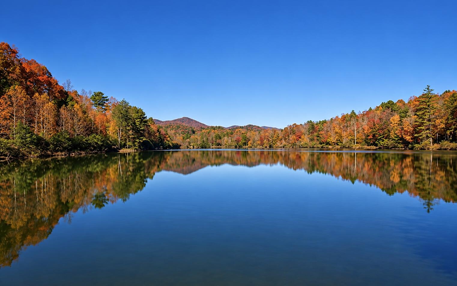 Ellijay Vacation Rental
