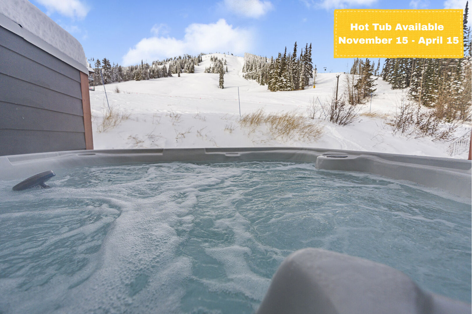 Silver Star Mountain Vacation Rental
