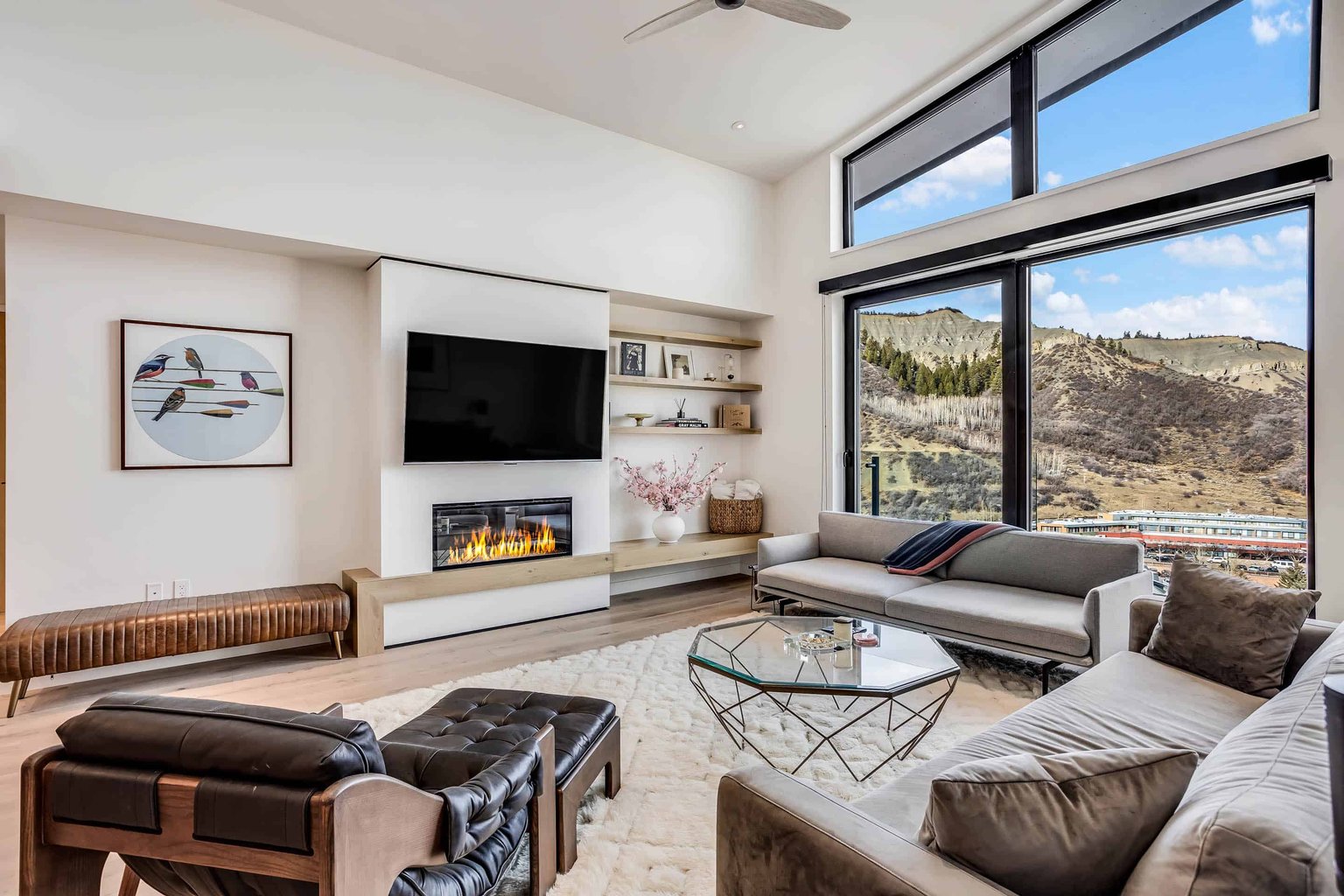 Snowmass Vacation Rental