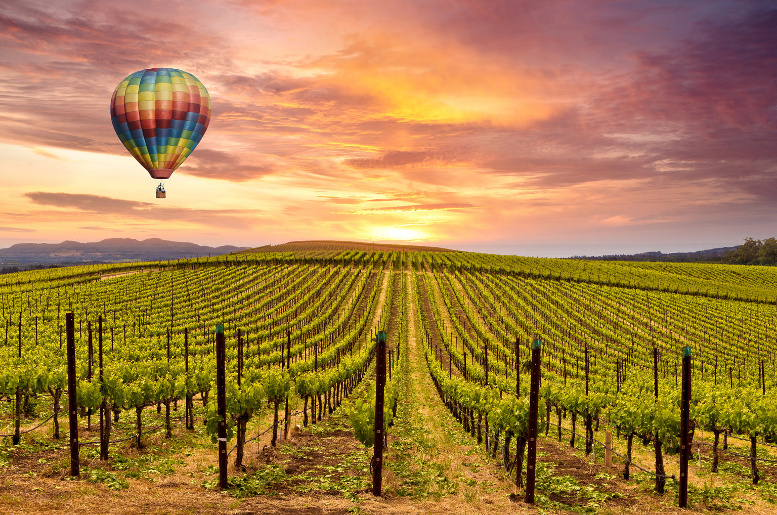 Sonoma, California Vacation Rentals: Cabins, Cottages, Houses, &  More