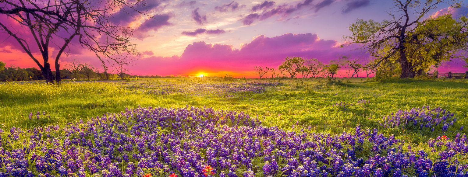 Fredericksburg, Texas Vacation Rentals: Cabins, Homes, & More