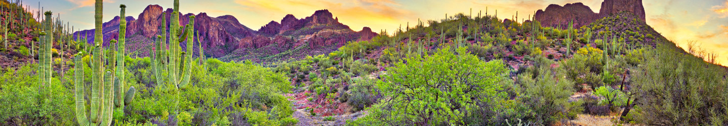 Arizona Vacation Homes: Houses, Cabins, Condos, & Winter Rentals