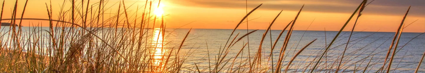 Michigan Vacation Rentals: Cabins, Cottages, Condos, & More