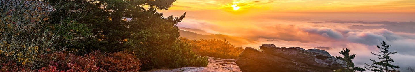  North Carolina Vacation Rentals, Cabins & Houses