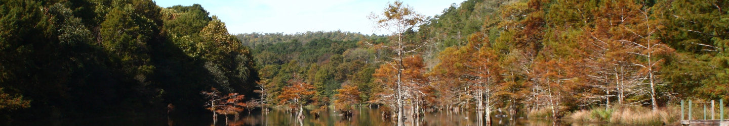 Broken Bow, Oklahoma Cabins: Vacation Rentals & Homes
