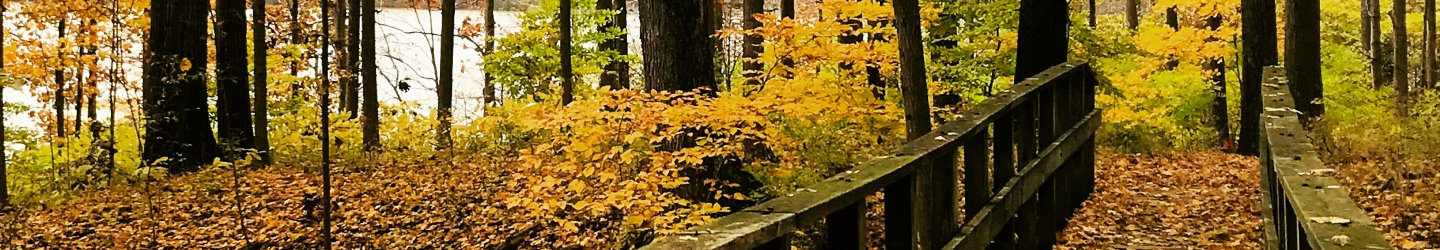 Ohio Vacation Rentals: Cabins, Lake Houses, Condos, & More