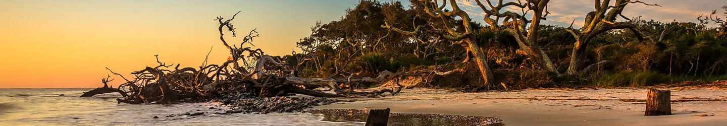 Jekyll Island, Georgia Vacation Rentals: Oceanfront Homes, Houses & Condos
