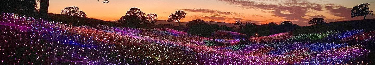 Paso Robles, California Vacation Rentals: Vacation Homes & Cottages