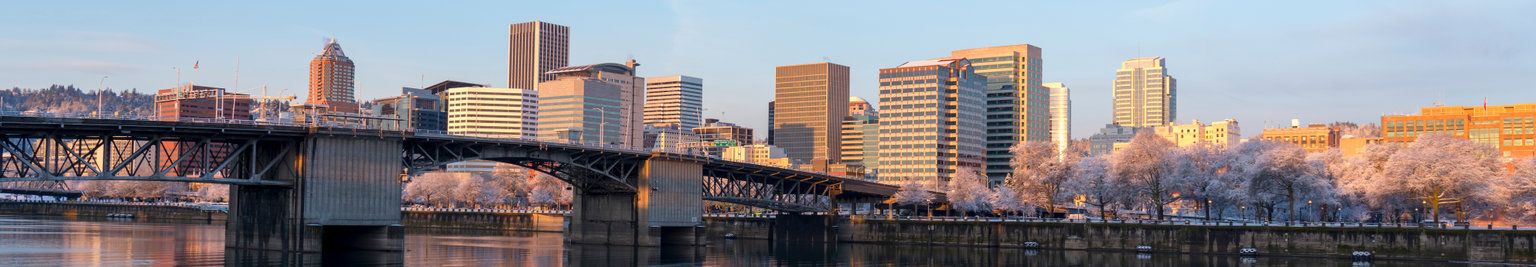Portland, Oregon Vacation Rentals: Houses, Bungalows, Condos, Cottages, & More 