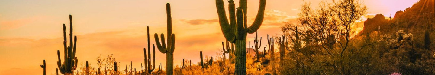 Mesa, Arizona Vacation Rentals: Houses, Condos, & Winter Rentals