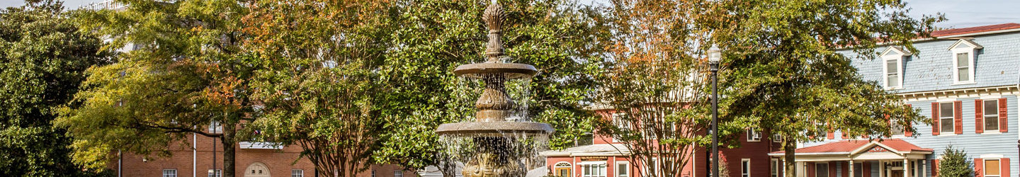Georgetown, Delaware Vacation Rentals: Houses, Cabins, Apartments, & More