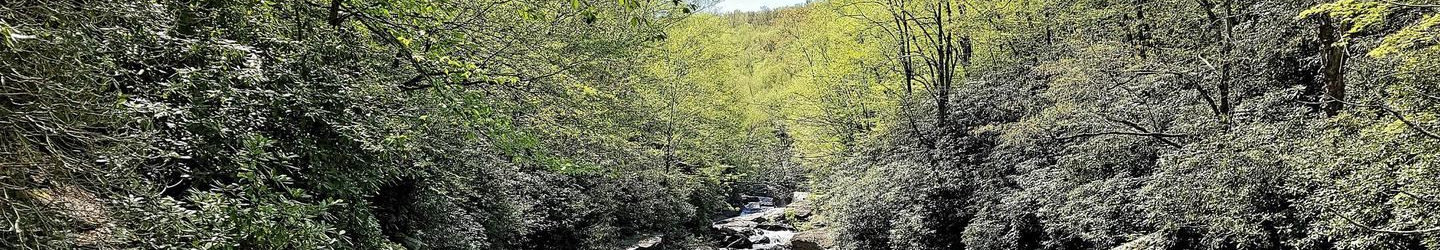 Albrightsville, Pennsylvania Vacation Rentals: Houses, Cabins, Condos, & Luxury Homes